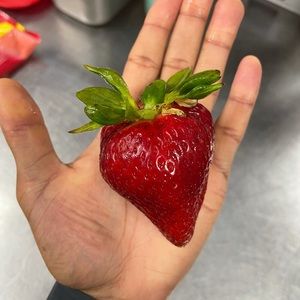 Meet your Posher, Edward